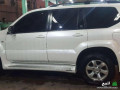 brado-loloy-2008-small-2