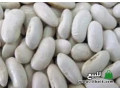 byaa-fasolyaaa-small-0