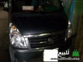 fogya-mardona-2013-small-0
