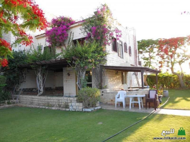 marina-villa-north-coast-egypt-big-0