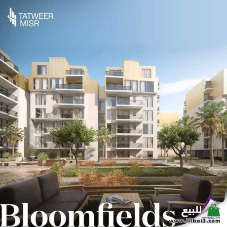 shkk-llbyaa-f-kmbond-bloom-fields-big-2