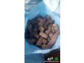 fhm-nygyry-llshoy-small-0
