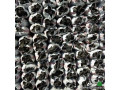 fhm-mshaoy-alshaal-small-0