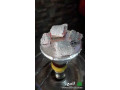 fhm-lymon-fakhr-laghrad-alshysh-small-0