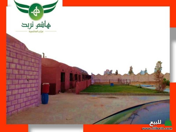 mzaraa-alhashmy-big-2