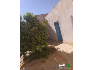 منزل تصميم قديم في تزنيت دوار لعوينة مكان هادئ ومريح