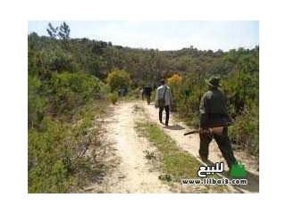 اعلان بيع محمية للقنص 600هكتار.