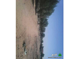 قطعة أرض للبيع في أكادير