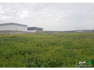A vendre 6 hectare à casablanca
