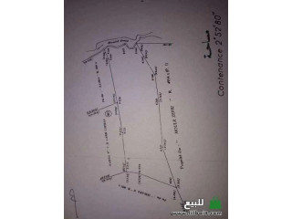 أرض