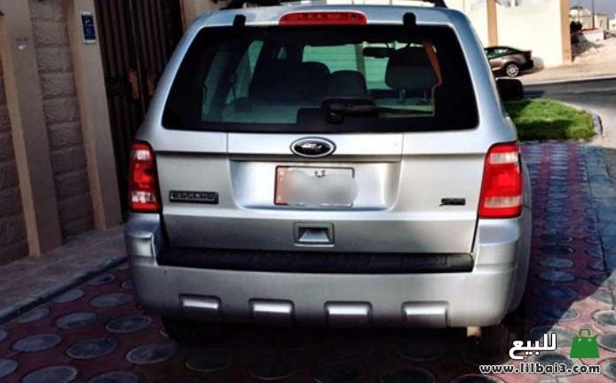 ford-askyb-2010-mstaaml-big-0