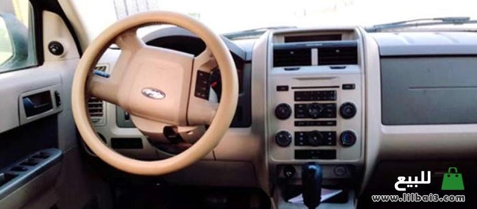 ford-askyb-2010-mstaaml-big-2