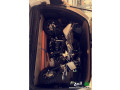 dbab-syny-mkas-50-llbyaa-small-1