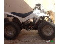 dbab-ram-llbyaa-small-1