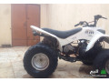 dbab-ram-llbyaa-small-4