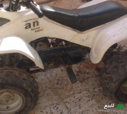 dbab-ram-llbyaa-big-2