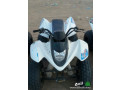 6dbabat-nary-llbyaa-small-0