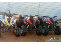 3-dbabat-mkhtlf-llbyaa-small-0