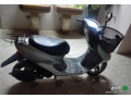 dbab-honda-modyl-2012-small-0