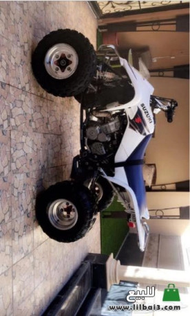 dbab-sozoky-z400-modyl-2007-big-1