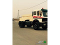 mrsyds-alby-syny-2010-small-2