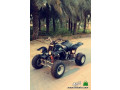 dbab-yamaha-modyl-2005-small-0