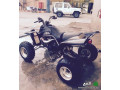 dbab-yamaha-modyl-2005-small-1