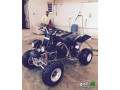 dbab-yamaha-modyl-2005-small-2