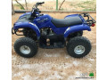 dbab-yamaha-2006-yshbh-algdyd-small-0