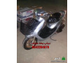 dbabat-bt-yabany-llbyaa-small-2