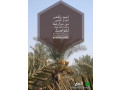 tmor-khlas-small-2