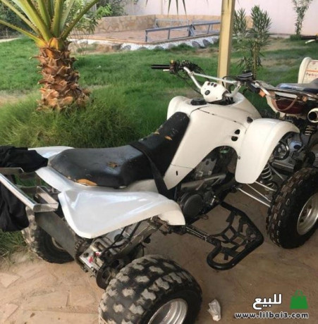 dbab-sozoky-z400-big-1