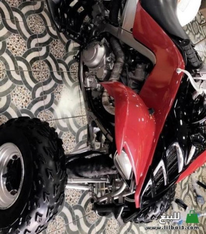 dbab-yamaha-2009-big-0